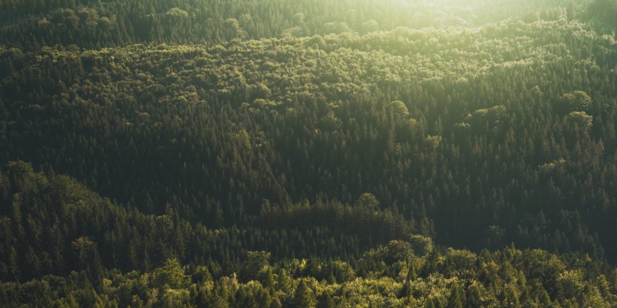 Milioane de voci cer măsuri urgente pentru salvarea Planetei