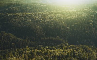 Milioane de voci cer măsuri urgente pentru salvarea Planetei