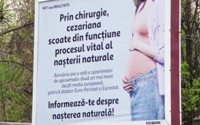 Diana Buzoianu, scandal cu panourile: Sesizare ANPC și primărie