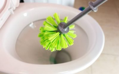 Cum cureți corect peria de wc. Când e timpul să o schimbi