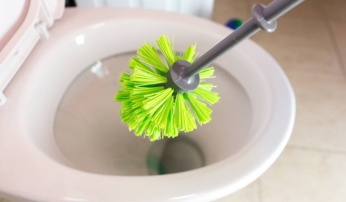Cum cureți corect peria de wc. Când e timpul să o schimbi