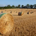 UE dă undă verde Franței: 300 de milioane de euro pentru consiliere agricolă