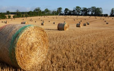 UE dă undă verde Franței: 300 de milioane de euro pentru consiliere agricolă
