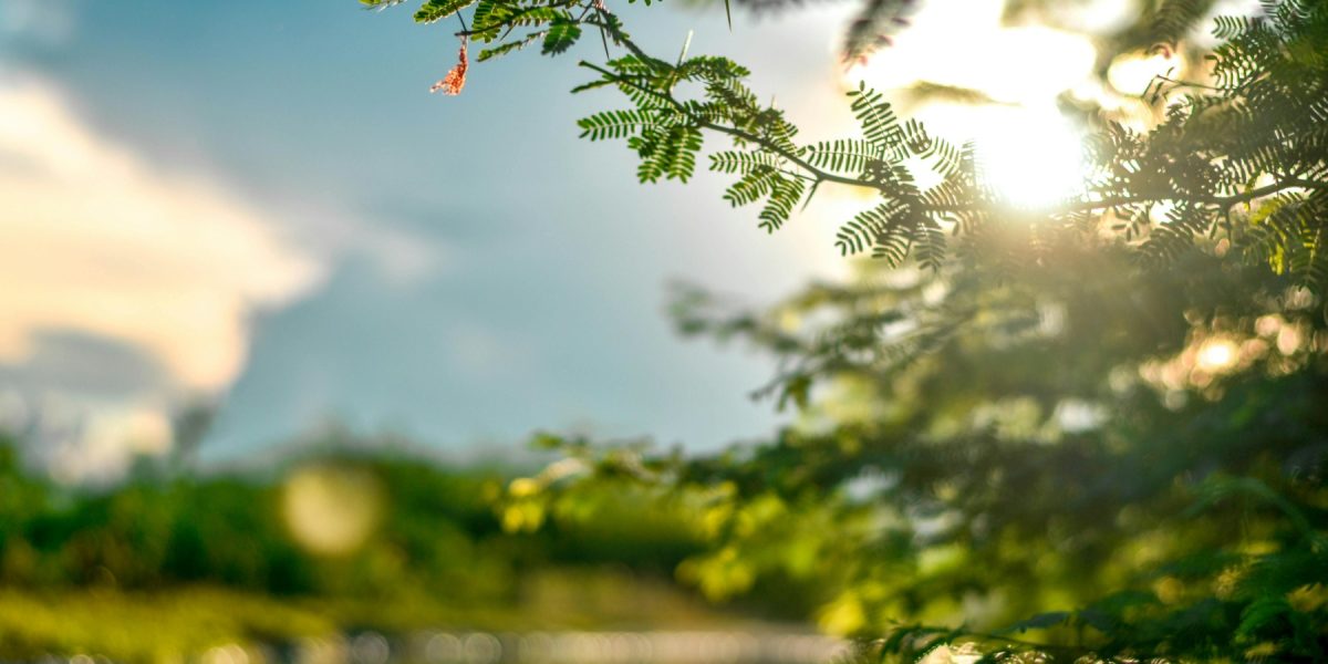 Pielea „iese din iarnă” și e în pericol: Ce avertizează medicul