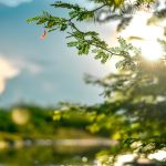 Pielea „iese din iarnă” și e în pericol: Ce avertizează medicul