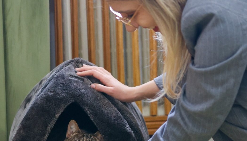 Pisica Leia, grav abuzată, adoptată de Ministerul Mediului