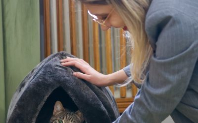 Pisica Leia, grav abuzată, adoptată de Ministerul Mediului