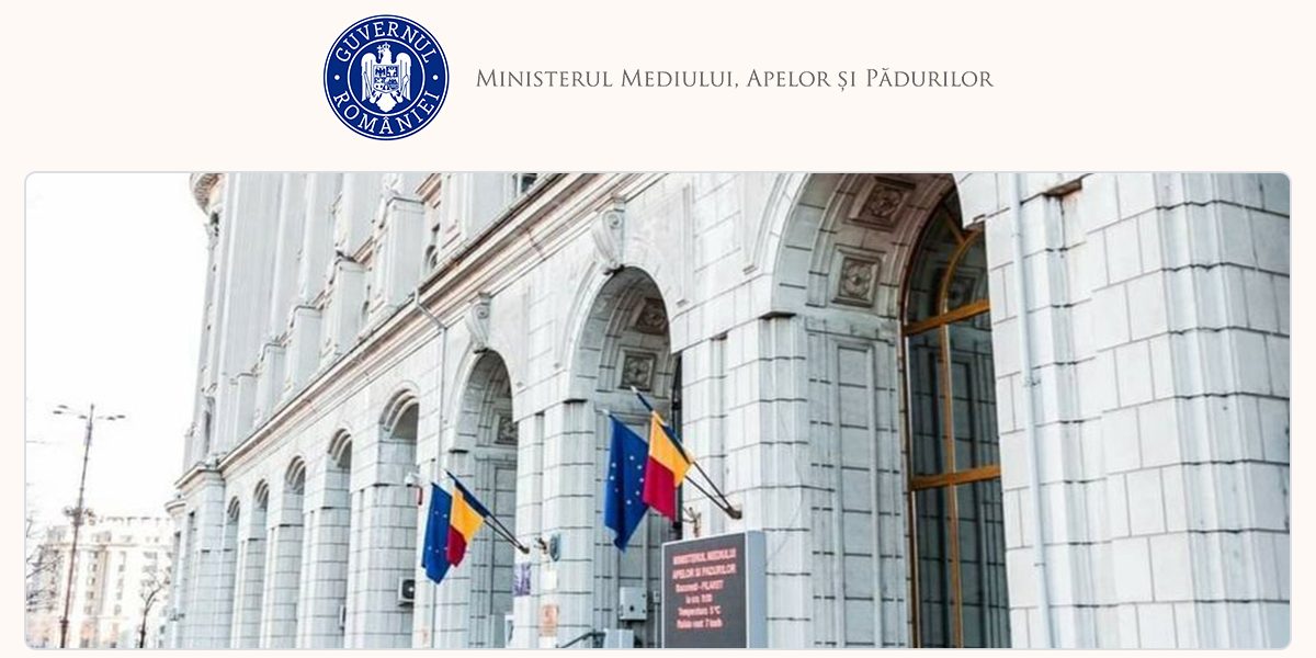 Dezbateri GUVERN: Modificări pentru compensații lemn din 2010-2013, pe tapet