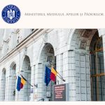 Dezbateri GUVERN: Modificări pentru compensații lemn din 2010-2013, pe tapet