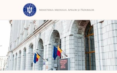 Dezbateri GUVERN: Modificări pentru compensații lemn din 2010-2013, pe tapet