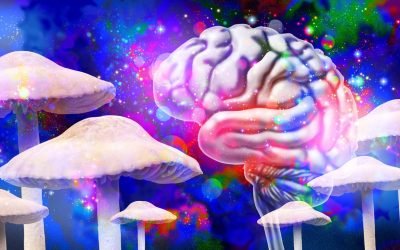 O plantă modificată genetic, capabilă să producă simultan cinci compuși psihedelici, a fost dezvoltată de cercetătorii de la Institutul de Știință Weizmann