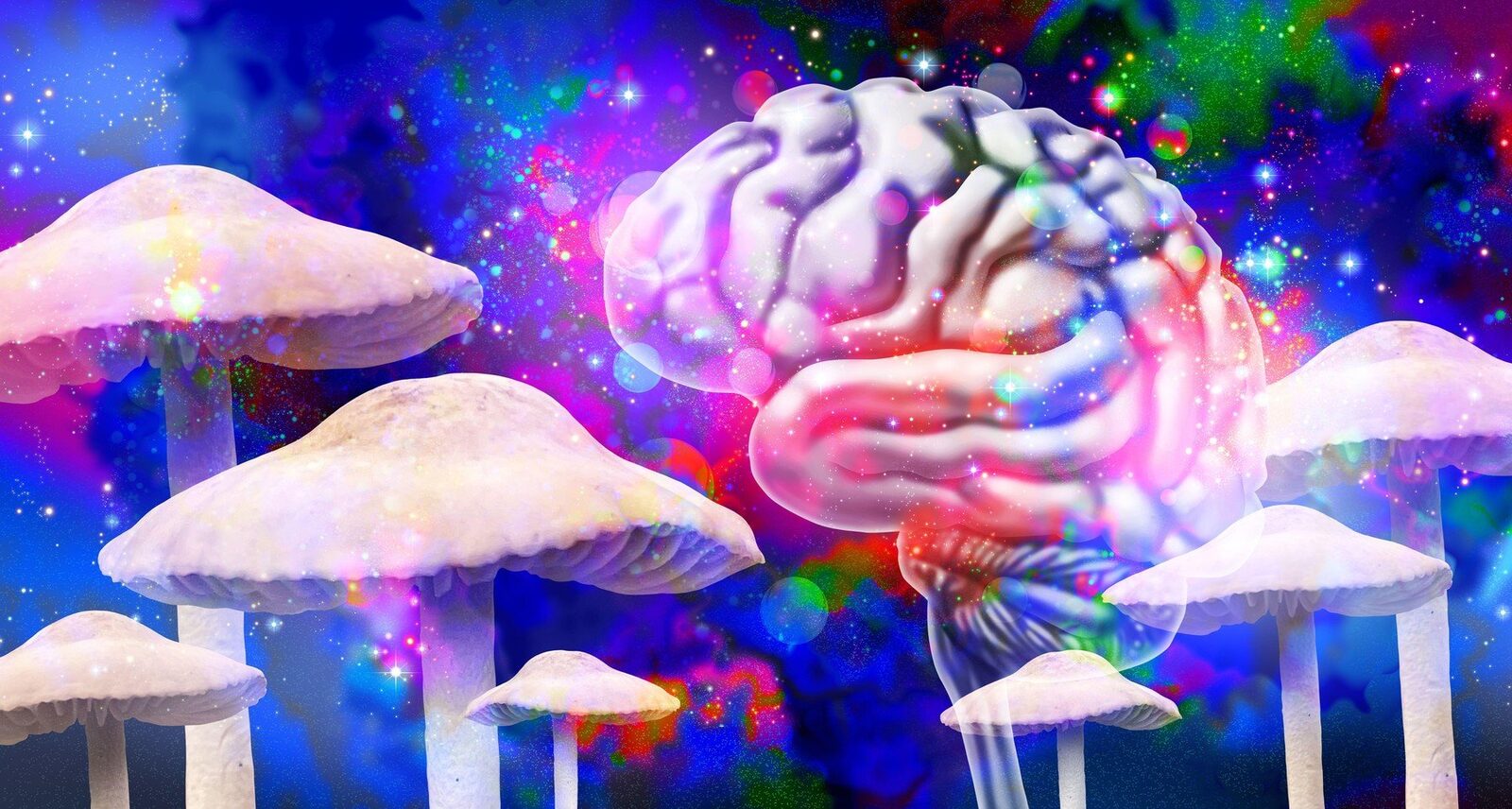 O plantă modificată genetic, capabilă să producă simultan cinci compuși psihedelici, a fost dezvoltată de cercetătorii de la Institutul de Știință Weizmann