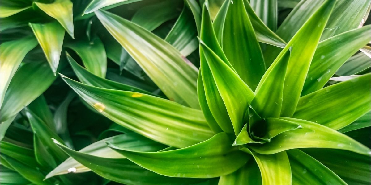 Trucul simplu, dar VERIFICAT, care schimbă totul