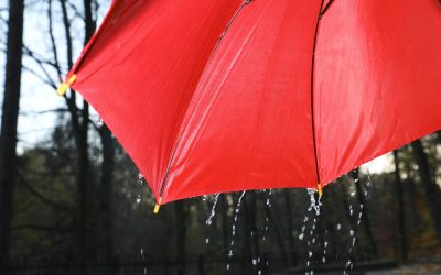 Taxă pe apa de ploaie: Ce trebuie să știe proprietarii din România despre noile reguli