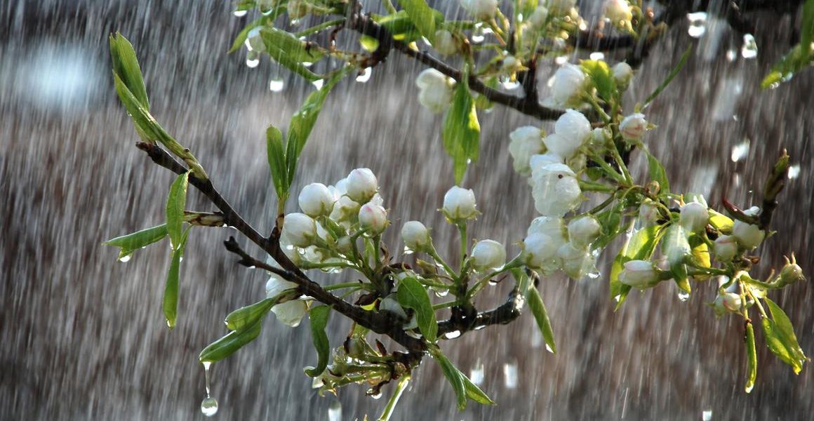 Vremea se strică: Temperaturile scad drastic, ploi în toată țara