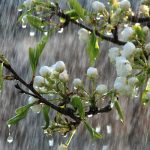 Vremea se strică: Temperaturile scad drastic, ploi în toată țara