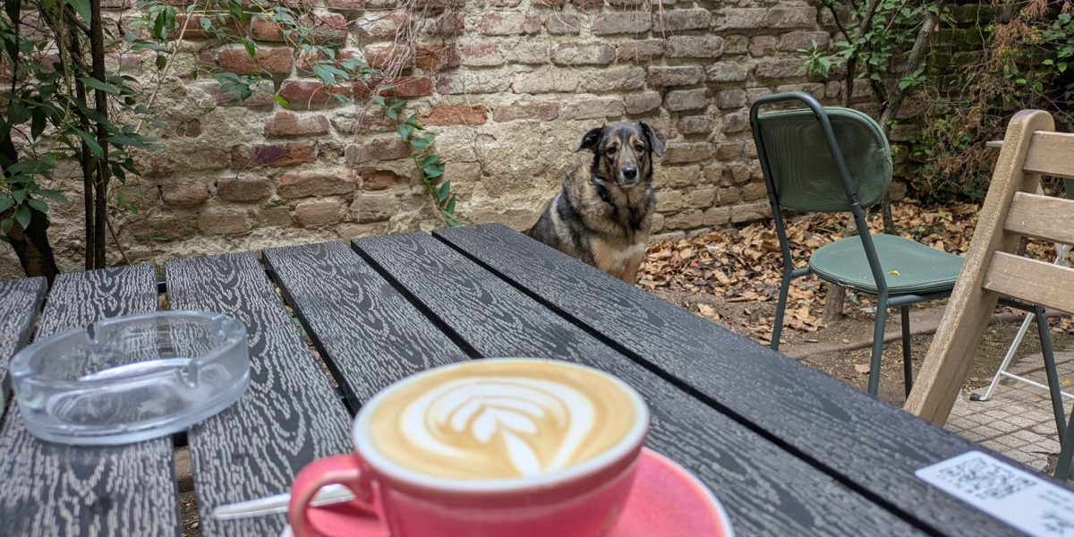 Agenda Urbană: Cosmin @ Buletin, recomandări culturale (24-30 aprilie)