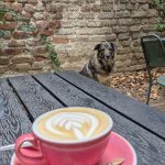 Agenda Urbană: Cosmin @ Buletin, recomandări culturale (24-30 aprilie)