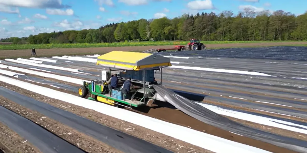 Robotul german care înlocuiește românii: Fermele, dominate de tehnologie