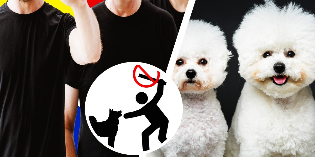 Grupare din Anglia, acuzată că mutila căței pentru asigurări