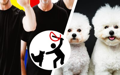 Grupare din Anglia, acuzată că mutila căței pentru asigurări