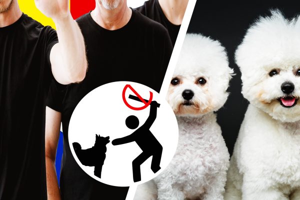 Grupare din Anglia, acuzată că mutila căței pentru asigurări