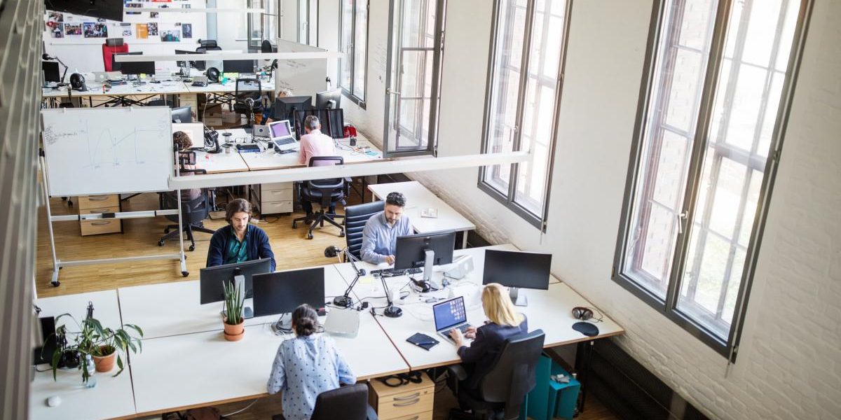 Liberalii vor încă o zi liberă legală pentru români! Proiect depus