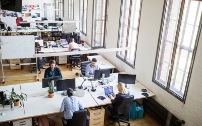 Liberalii vor încă o zi liberă legală pentru români! Proiect depus