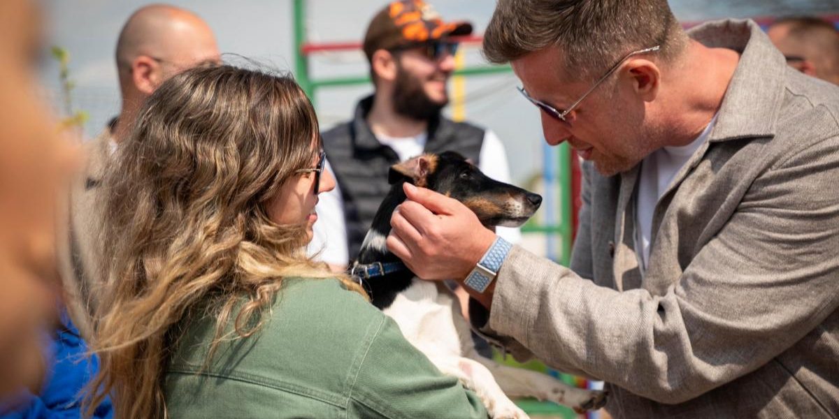 Centru de adopții canini ÎN ILFOV: „Locul lor e-n familie!”