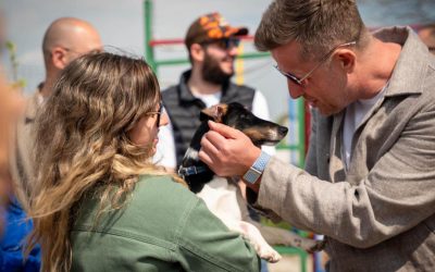 Centru de adopții canini ÎN ILFOV: „Locul lor e-n familie!”