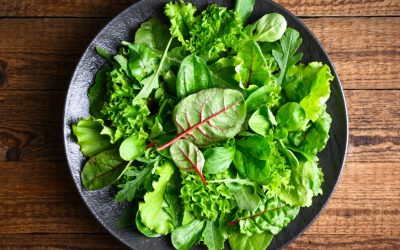 Salata verde: De ce se strică repede și cum o păstrezi proaspătă mai mult timp Bucătarii și gospodinele știu: salata verde este o provocare