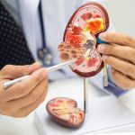 Ce dezvăluie analizele medicale despre sănătatea rinichilor