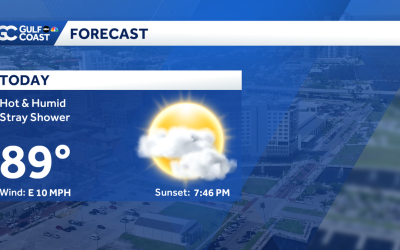 Vremea se schimbă: Soare și temperaturi mai ridicate pentru vineri, după o zi ploioasă După o joi ploioasă pe coasta Golfului, locuitorii din zona respectivă se pot aștepta la o schimbare spre bine