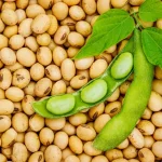 Fermierii din România, din nou la soia: Producția explodează cu peste 60%