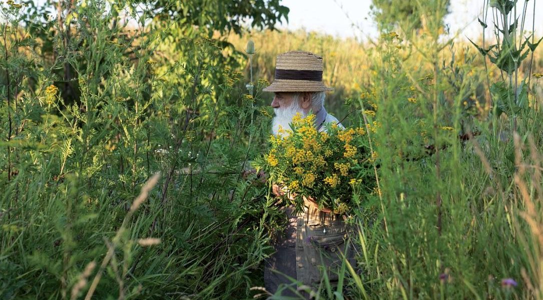 Ștefan Câlția expune la Sibiu: Temele recurente ale artistului, în centrul atenției