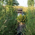 Ștefan Câlția expune la Sibiu: Temele recurente ale artistului, în centrul atenției