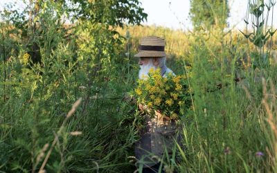 Ștefan Câlția expune la Sibiu: Temele recurente ale artistului, în centrul atenției