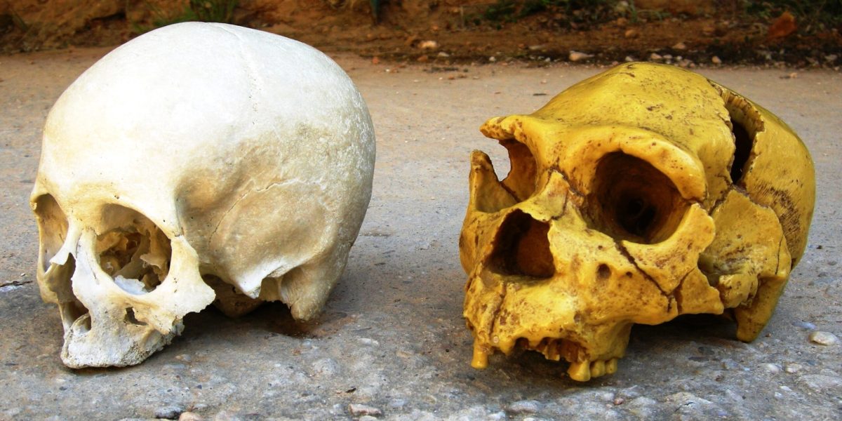 Cum ne influențează NEANDERTHALIENII viața, chiar și azi