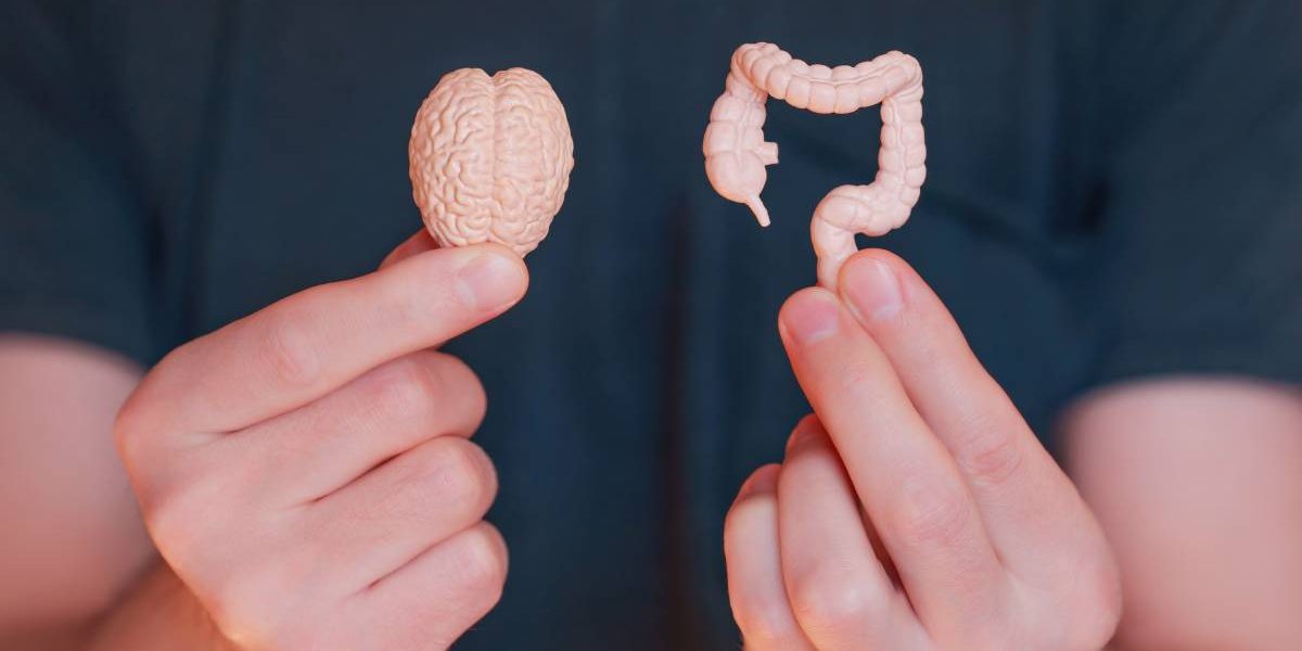 Stresul Sărbătorilor: Cum ne afectează digestia și apetitul