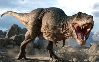 O geantă de mână realizată din colagen derivat din fosile de Tyrannosaurus rex va fi scoasă la licitație cu un preț de pornire estimat la peste 500.000 de dolari, conform datelor publicate de Reuters în data de 2 mai 2024