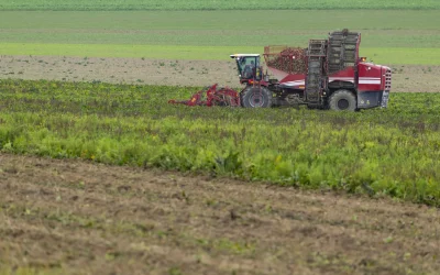 Vremea favorizează culturile agricole, dar unele zone se confruntă cu deficit de apă București – Potrivit prognozei Administrației Naționale de Meteorologie (ANM), vremea din perioada 4-10 aprilie 2026 va fi în general favorabilă pentru dezvoltarea culturilor agricole în majoritatea regiunilor țării