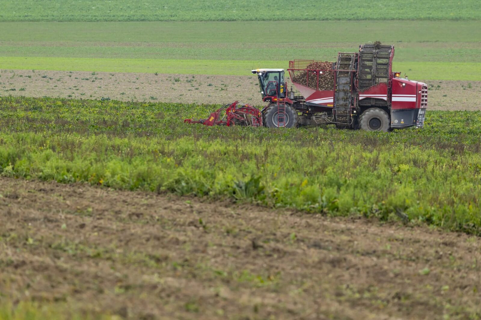 Vremea favorizează culturile agricole, dar unele zone se confruntă cu deficit de apă București – Potrivit prognozei Administrației Naționale de Meteorologie (ANM), vremea din perioada 4-10 aprilie 2026 va fi în general favorabilă pentru dezvoltarea culturilor agricole în majoritatea regiunilor țării