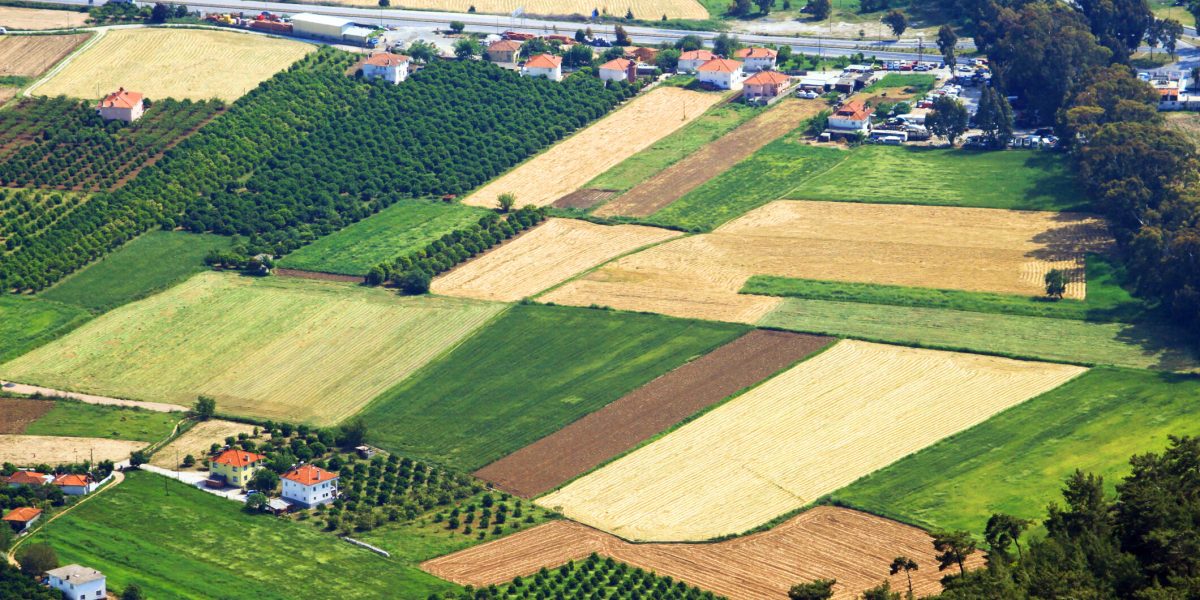 Atenție, români! Ghidul TERENURILOR în 2026: Acte și pași IMPORTANȚI