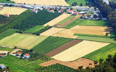 Atenție, români! Ghidul TERENURILOR în 2026: Acte și pași IMPORTANȚI