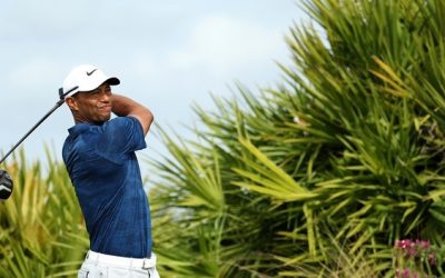 Un nou episod în scandalul lui TIGER WOODS: imagini cu arestarea, conversația cu PREȘEDINTE, și internarea pentru tratament Imagini de la camera de corp dezvăluie momentul arestării lui TIGER WOODS, punând sub semnul întrebării starea de sănătate și conexiunile sale politice