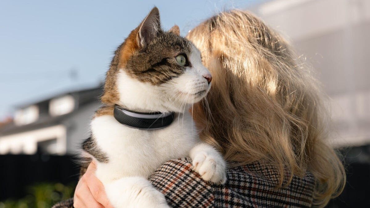 Tractive lansează zgărzi inteligente pentru animale de companie cu funcții de monitorizare a sănătății și localizare GPS Compania Tractive aduce pe piață noi zgărzi inteligente destinate animalelor de companie, promițând o abordare inovatoare în îngrijirea felinelor și caninelor