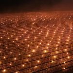 Foc la 40.000 de euro: Drama unui fermier din Cluj pentru a-și salva cireșii