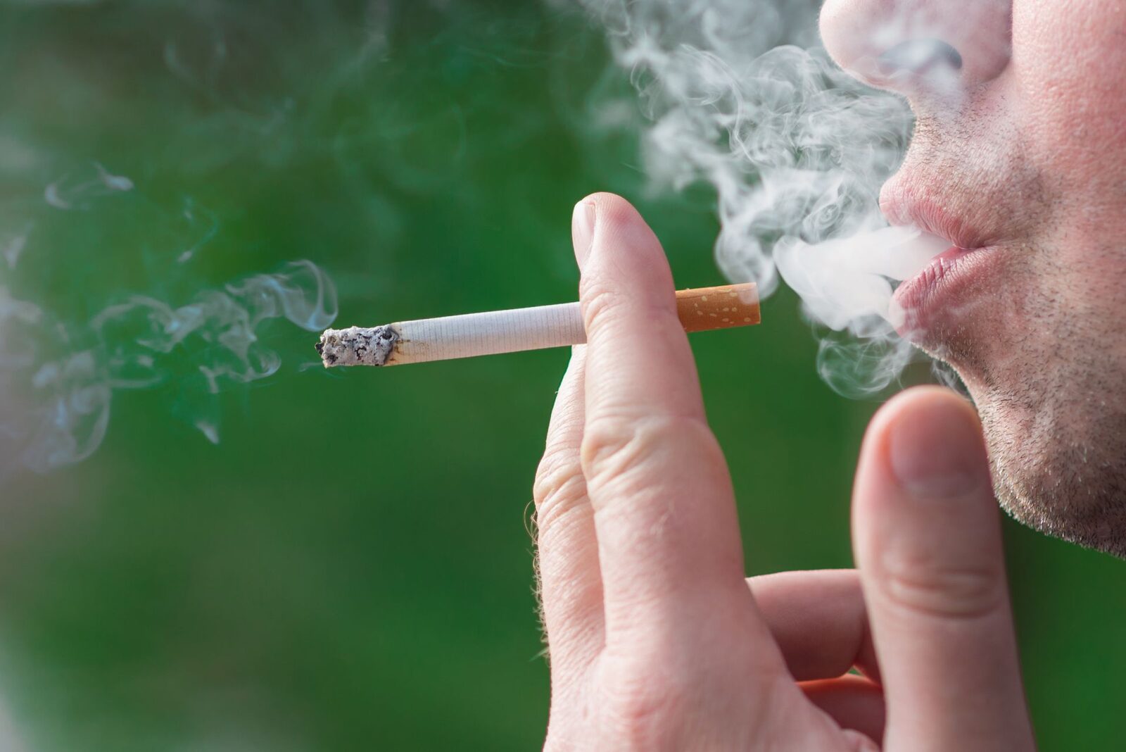 Canabisul și tutunul pot reduce volumul cerebral, arată un studiu amplu Consumul de canabis și tutun, fie separat, fie combinat, poate avea efecte negative asupra structurii creierului, conducând la un volum cerebral mai mic