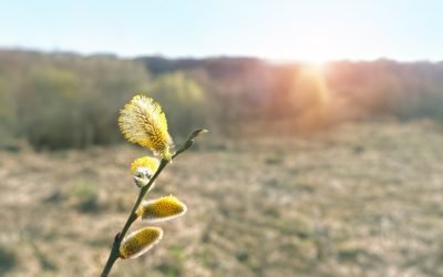 Vremea dă rateuri de paște: România, pe muchie de cuțit