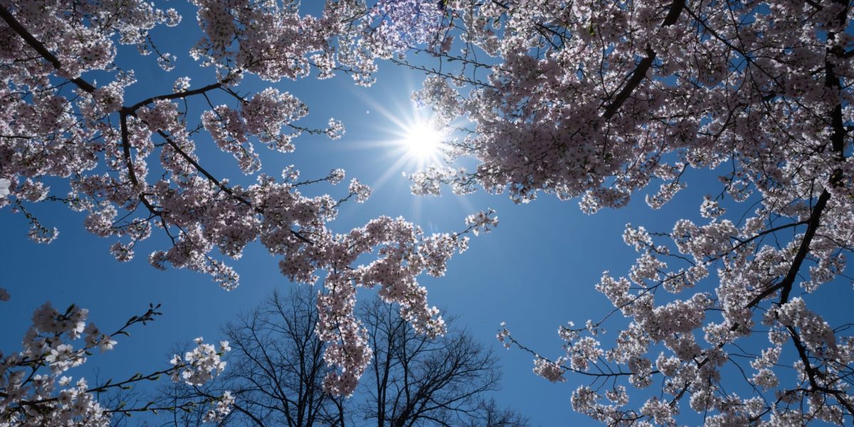 Vremea de 1 Mai: Meteorologii, primele prognoze pentru România